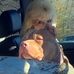 Kay Dillon Wiseman - Facebook