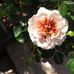 Kay Wiseman - Facebook