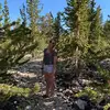 kbethbacon1 - @kay.wiseman - TikTok