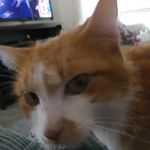 Kay Wisner - @kaywisner - Instagram