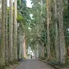 Kaye Witherspoon - @kaye.witherspoon - TikTok