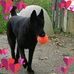 Kay Withrow - Facebook