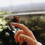 kay witt - @kaywittnails - Instagram