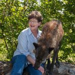 Kay Witt-Wildlife Artist - @kaywittfineart - Instagram