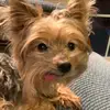 Kay Wolf - @kay.m.wolf - TikTok