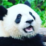 Kay ́leana Womack - @kayleanawomack - Instagram