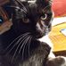 Kay Workman - Facebook