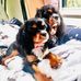 Kay Wright - Facebook