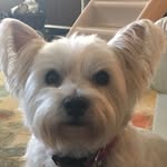 Kay Wunderlich - @wunder_one - Instagram