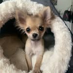 Kaya - @kayawunderlich - Instagram