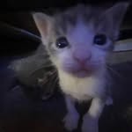 kyy^✿ - @kay_.yee - Instagram