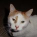 Kay Yoder - Facebook