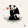 p͠a͠n͠d͠a͠🐼s̅α̅ɒ - @kaylenyoder - TikTok