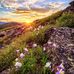 Kay Yost - Facebook
