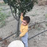 Kaya Ateş - @kaya.ates.397 - Instagram