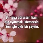 Kaya Ates - Facebook