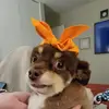 Emily - @kayabean96 - TikTok