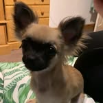 Kaya Bean - @chronicles_of_kaya - Instagram