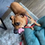Kaya Bean - @kayathebean - Instagram