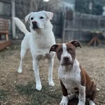 kaya bean & mr oats - @kaya.n.oats - Instagram