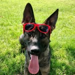 Kaya Marie Beans - @kayabeans_gsd - Instagram