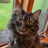 user8457613428492 - @kayabean - TikTok