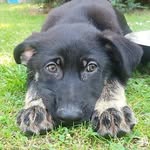 Kaya_Berger.Allemand - @kaya_berger.allemand - Instagram