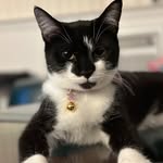Kaya & Carrot - @kaya_and_carrot - Instagram