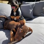 Kaya & Carson - @kaya_carson_ - Instagram