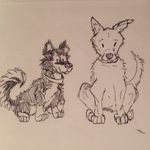 The Adventures of Clay & Kaya - @clayandkaya - Instagram