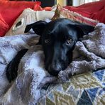 Kaya Dean - Facebook
