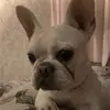 Kaya Gray - @julie.mcqueeney.g - TikTok