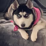 Kaya Hall - @iceblu_kaya - Instagram