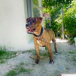 Kaya Jacobs🐾💞 - @kayas.world2022 - Instagram
