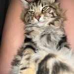 Kayah Lyons - @kayah.lyons12 - Instagram