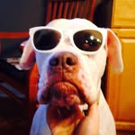 Kaya Meyer - @kaya_meyer_puppyswag - Instagram