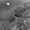 kayameyer971 - @kayameyer971 - TikTok