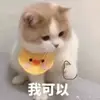 Kaya Sanchez - @user9620866267591 - TikTok