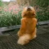 Kaya and the gang - @kayatheshepherd - TikTok