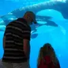 kayashepherd7 - @kayashepherd7 - TikTok