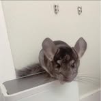 Kaya Singleton - Facebook