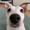 KayaWang - @kayawawawang - TikTok