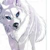 kaya.wolf.stuiods - @kaya.wolf.stuiods - TikTok