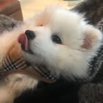 Kaya Wright - @kayathespitz - Instagram