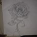 Kayann Johnson - Facebook