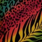 Kayara Smith - @nature.is.my.thang - Instagram