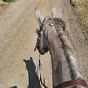 Kaycee Brown - @kaycee.brown8 - TikTok