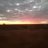 kayceebrown168 - @kayceebrown168 - TikTok