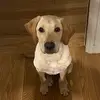 Kacey Hansen - @kacey.hansen - TikTok