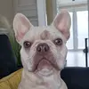 kacey Turner - @kaceymae7 - TikTok